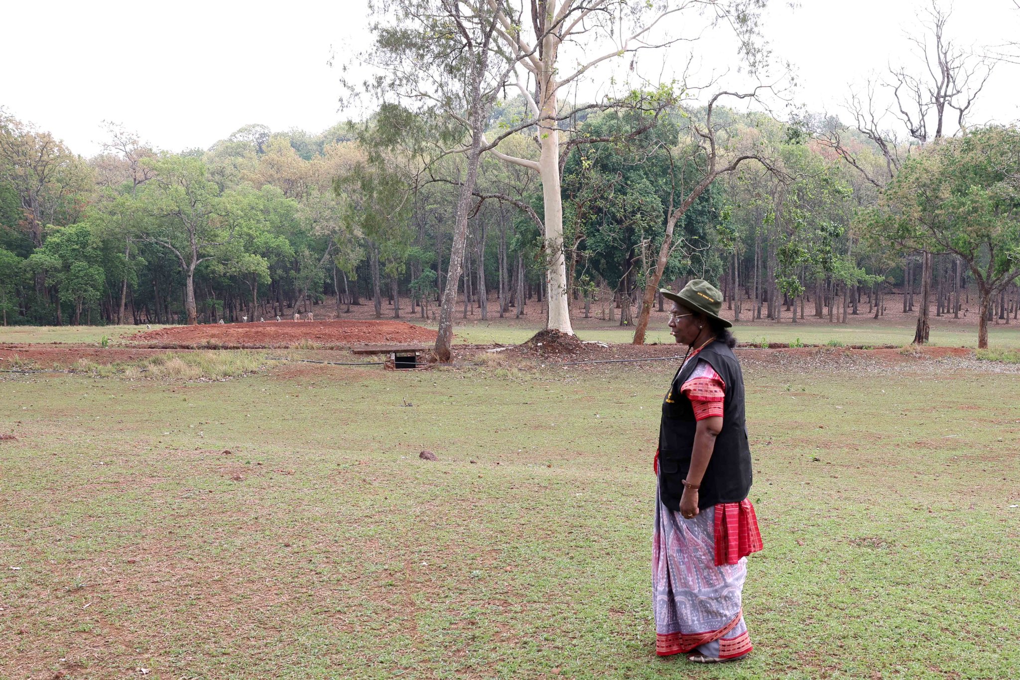 Baripada President Droupadi Murmu Visited Similipal Tiger