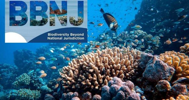 Union Cabinet approves India’s signing of the Biodiversity Beyond ...